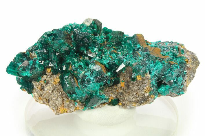 Lustrous Dioptase Crystal Cluster - Congo #272946